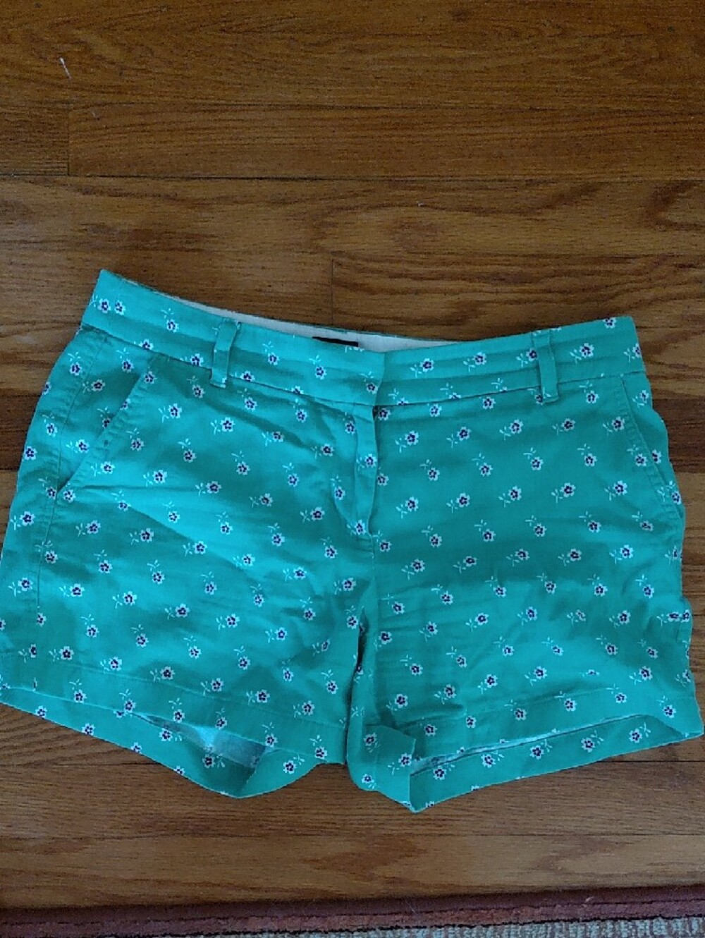 J. Crew Mint Green Floral Waistband Shorts